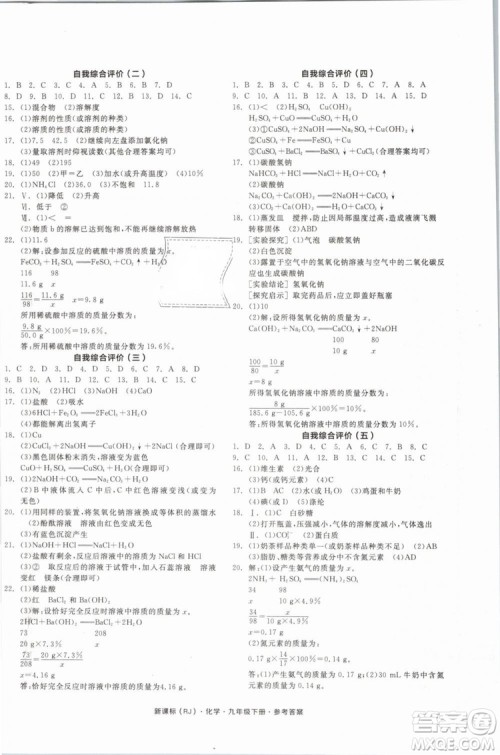 2019人教版全品作业本九年级化学下册新课标RJ阳光出版社参考答案