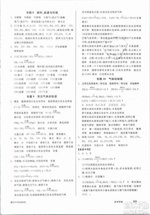 2019人教版全品作业本九年级化学下册新课标RJ阳光出版社参考答案