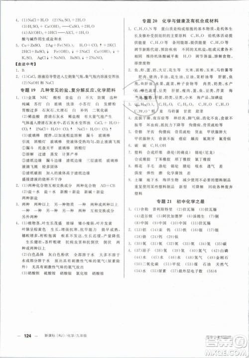 2019人教版全品作业本九年级化学下册新课标RJ阳光出版社参考答案