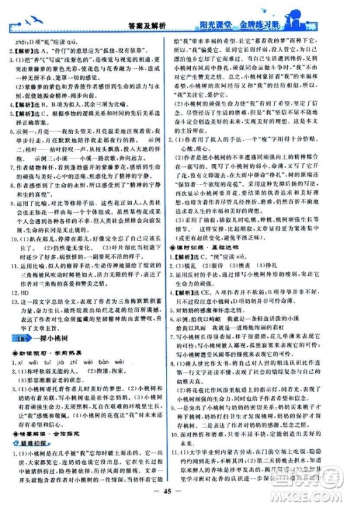 人教版2019版阳光课堂金牌练习册七年级下册语文参考答案