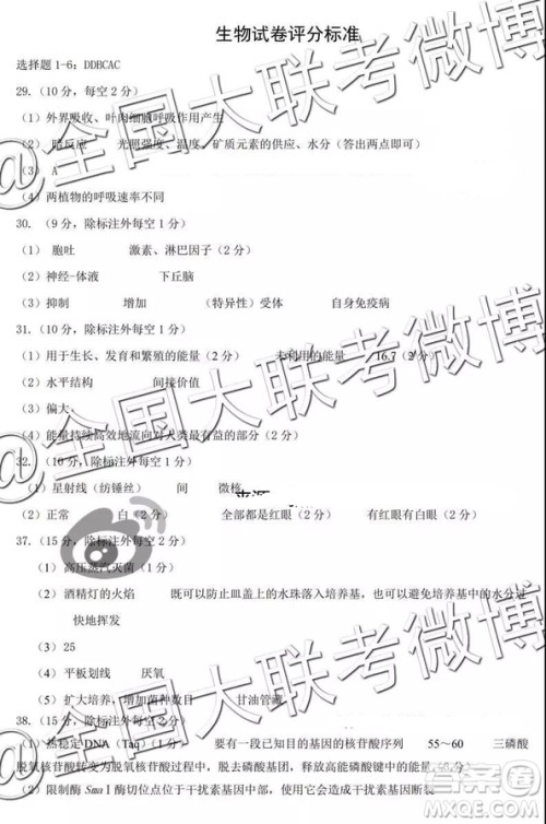 河北省五个一名校联盟2019届高三下学期第一次诊断考试理科综合参考答案 河北省五个一名校联盟2019届高三下学期第一次诊断考试理科综合参考答案