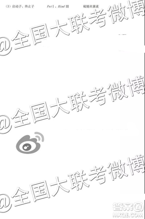 河北省五个一名校联盟2019届高三下学期第一次诊断考试理科综合参考答案 河北省五个一名校联盟2019届高三下学期第一次诊断考试理科综合参考答案