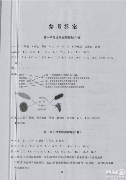 2019新版阳光同学六年级下册试卷科学一线名师全优好卷JK教科版参考答案