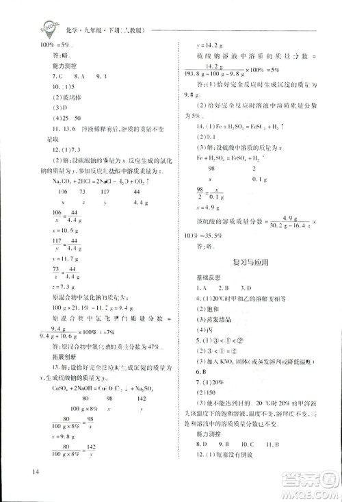 2019新课程问题解决导学方案九年级下册化学人教版答案 2019新课程问题解决导学方案九年级下册化学人教版答案