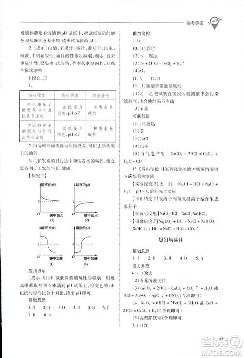 2019新课程问题解决导学方案九年级下册化学人教版答案