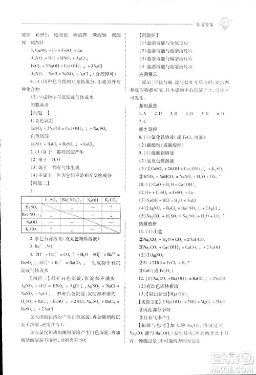 2019新课程问题解决导学方案九年级下册化学人教版答案