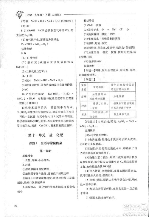 2019新课程问题解决导学方案九年级下册化学人教版答案