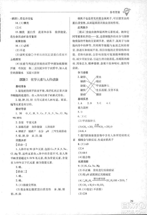 2019新课程问题解决导学方案九年级下册化学人教版答案