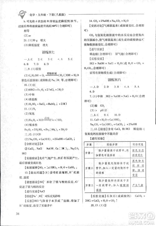 2019新课程问题解决导学方案九年级下册化学人教版答案