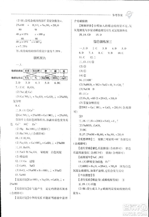 2019新课程问题解决导学方案九年级下册化学人教版答案