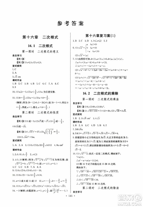 2019版长江全能学案同步练习册八年级下册数学人教版参考答案