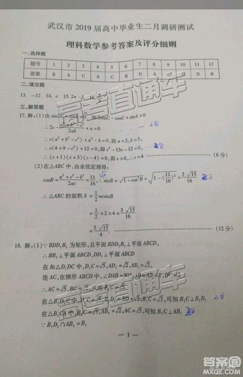 2019年武汉高三二月调考理数试题及参考答案