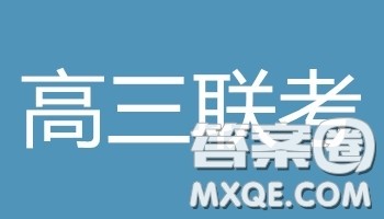 衡水2019年全国高三统一联考2月文科数学参考答案