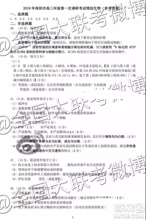 2019年深圳市高三一模考试理综参考答案 2019年深圳市高三一模考试理综参考答案