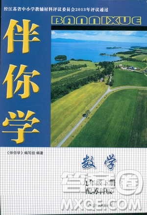 2019春苏科版伴你学数学九年级下册参考答案