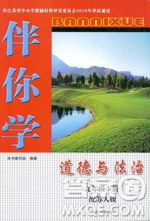 2019春人教版伴你学九年级下册道德与法治参考答案