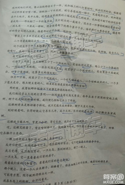 2019年莆田质检语文试题及参考答案