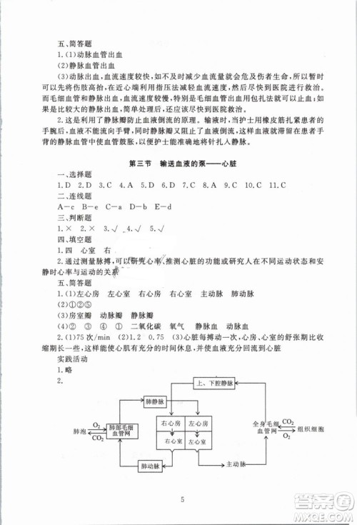 海淀名师伴你学2019年同步学练测生物七年级下册人教第2版参考答案 海淀名师伴你学2019年同步学练测生物七年级下册人教第2版参考答案