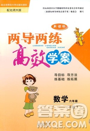 北师大版新课标2019两导两练高效学案六年级数学下册答案 北师大版新课标2019两导两练高效学案六年级数学下册答案