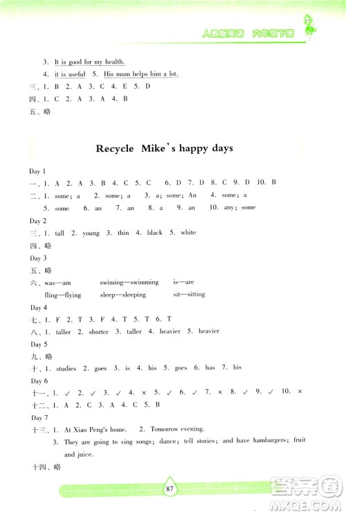 新课标2019年两导两练高效学案英语六年级下册人教版答案