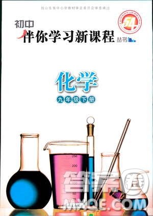 五四制2019年初中伴你学习新课程丛书九年级下册化学鲁教版参考答案