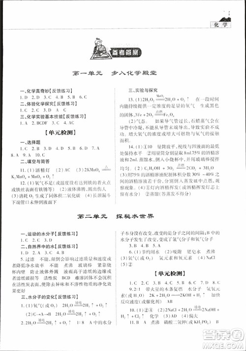 五四制2019年初中伴你学习新课程丛书九年级下册化学鲁教版参考答案