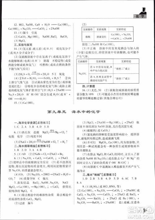 五四制2019年初中伴你学习新课程丛书九年级下册化学鲁教版参考答案