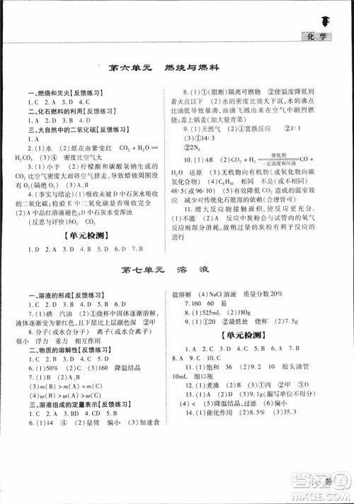 五四制2019年初中伴你学习新课程丛书九年级下册化学鲁教版参考答案