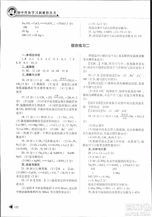 五四制2019年初中伴你学习新课程丛书九年级下册化学鲁教版参考答案