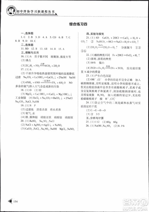 五四制2019年初中伴你学习新课程丛书九年级下册化学鲁教版参考答案