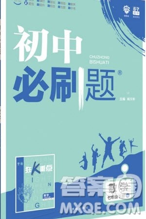 2019版初中必刷题七年级下册数学RJ人教版参考答案