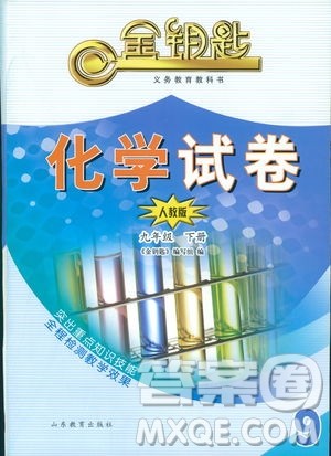 2019年金钥匙化学试卷九年级下册人教版参考答案