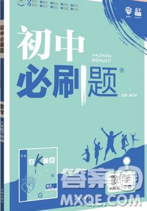 2019新版初中必刷题八年级下册数学RJ人教版参考答案