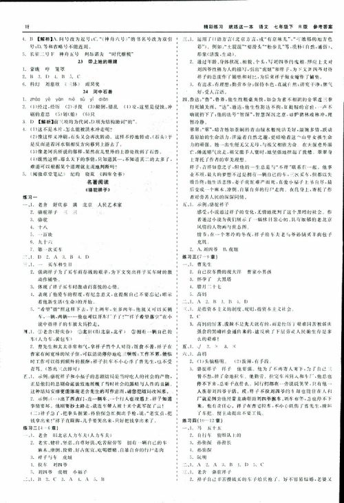 2019春精彩练习就练这一本名著阅读七年级下册语文R版人教版参考答案