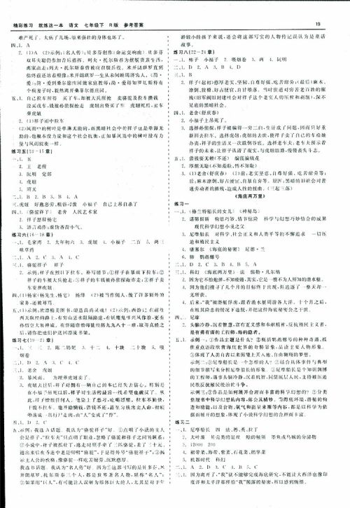 2019春精彩练习就练这一本名著阅读七年级下册语文R版人教版参考答案