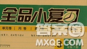 2019春全品小复习小学英语三3年级下册人教PEP版参考答案