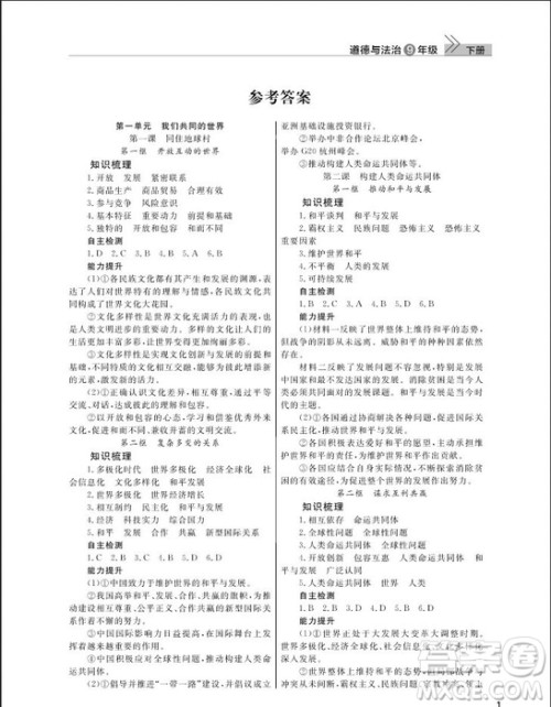 武汉出版社2019智慧学习课堂作业九年级下册道德与法治人教版答案