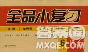 2019春全品小复习小学语文六年级下册人教版参考答案