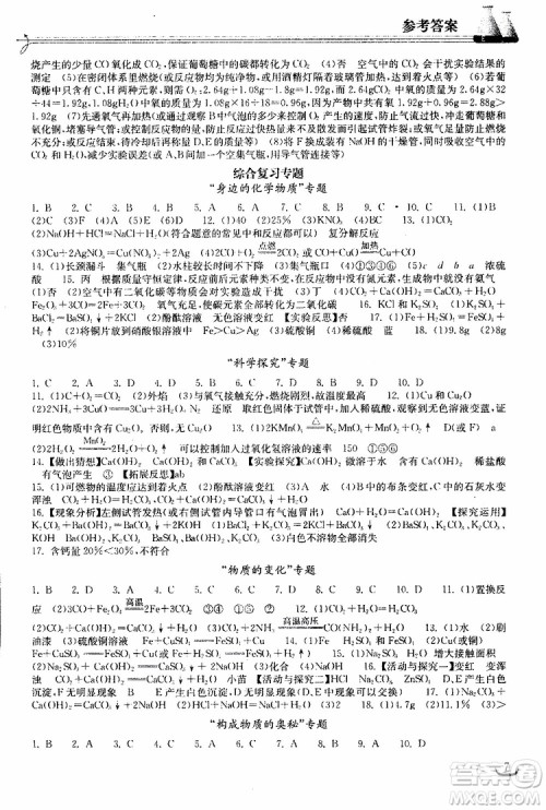 2019年长江作业本初中九年级下册化学同步练习册人教版参考答案