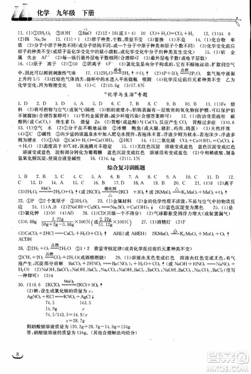 2019年长江作业本初中九年级下册化学同步练习册人教版参考答案 2019年长江作业本初中九年级下册化学同步练习册人教版参考答案