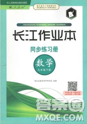 2019新版长江作业本同步练习册九年级数学下册人教版参考答案