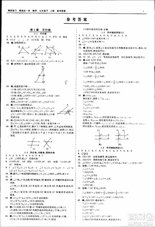 2019年精彩练习就练这一本七年级下册数学浙教版Z版参考答案