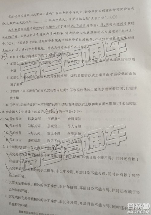 2019年高三新疆维吾尔自治区第一次适应性检测语文试题及参考答案