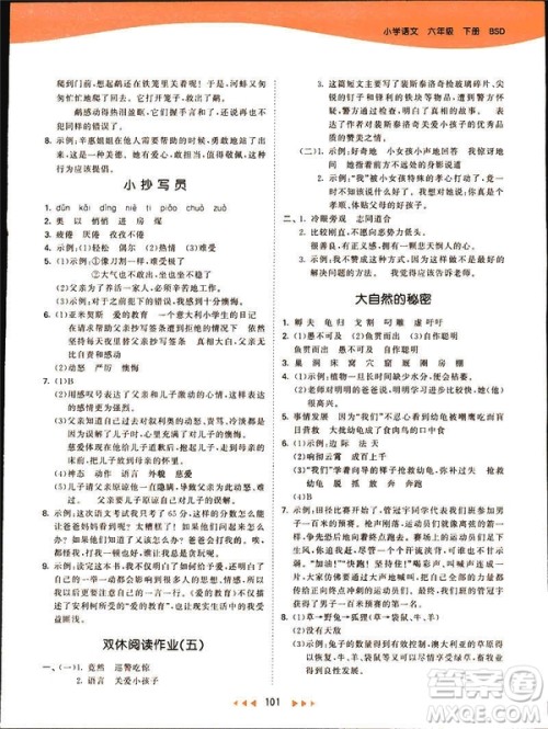 小儿郎2019版53天天练六年级下册语文北师大版BSD答案 小儿郎2019版53天天练六年级下册语文北师大版BSD答案