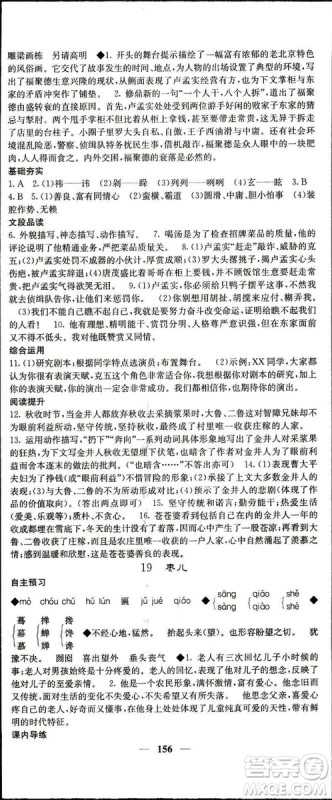 2019年名校课堂内外语文九年级下册人教版答案