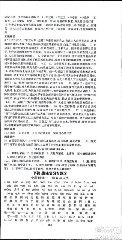 2019年名校课堂内外语文九年级下册人教版答案