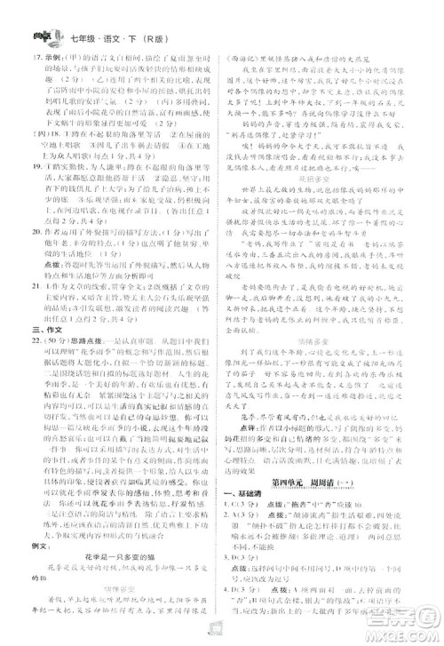 2019荣德基综合应用创新题典中点语文七年级下册人教版RJ版答案