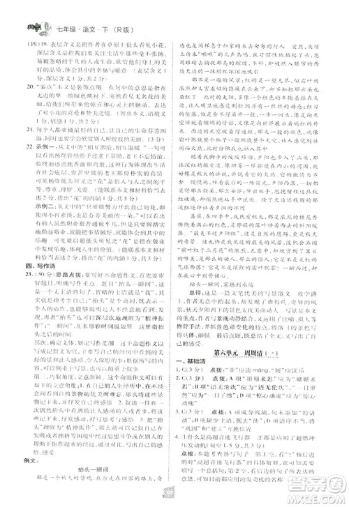 2019荣德基综合应用创新题典中点语文七年级下册人教版RJ版答案