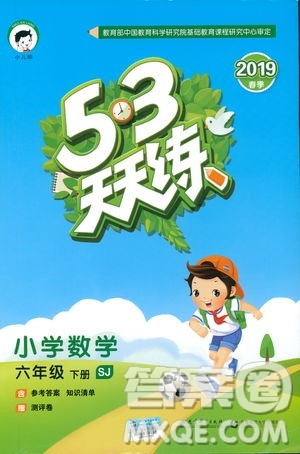 曲一线2019春53天天练六年级下册数学苏教版参考答案