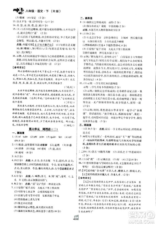 2019荣德基综合应用创新题典中点语文八年级下册人教版答案